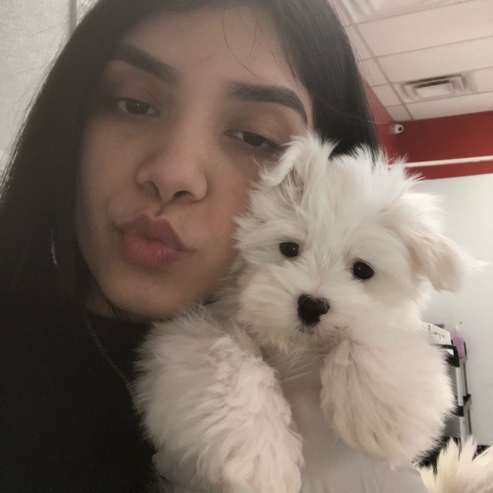 Meet your Posher, Yesenia